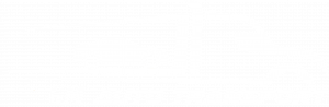 Logo White